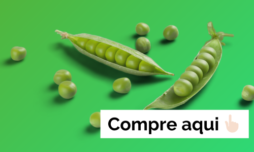 Vegetarianismo – Da dietética à orientação comportamental